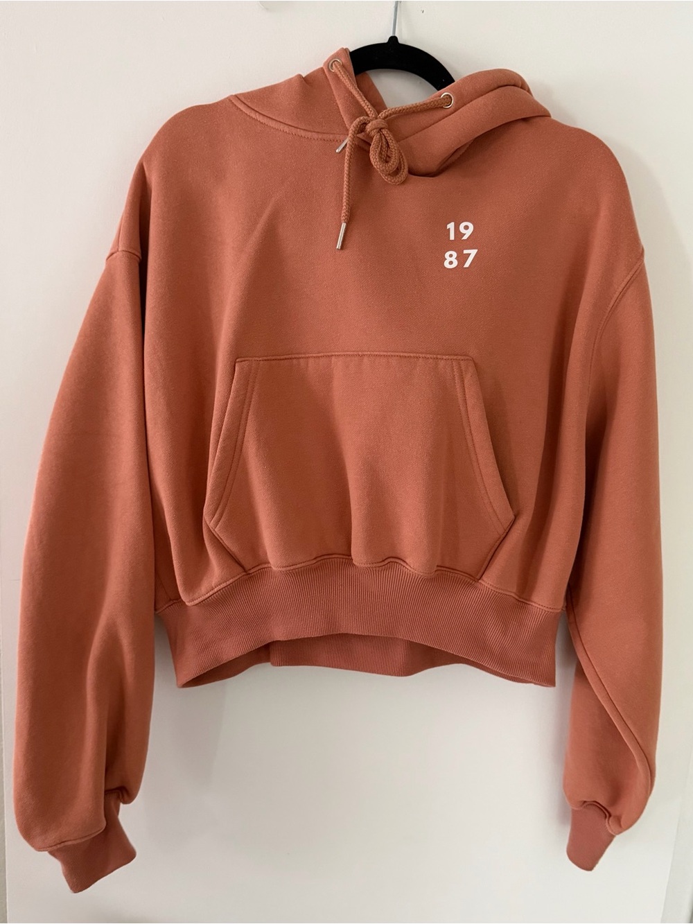 1987 Cropped Oversized Hoodie in “Wicked” - M
